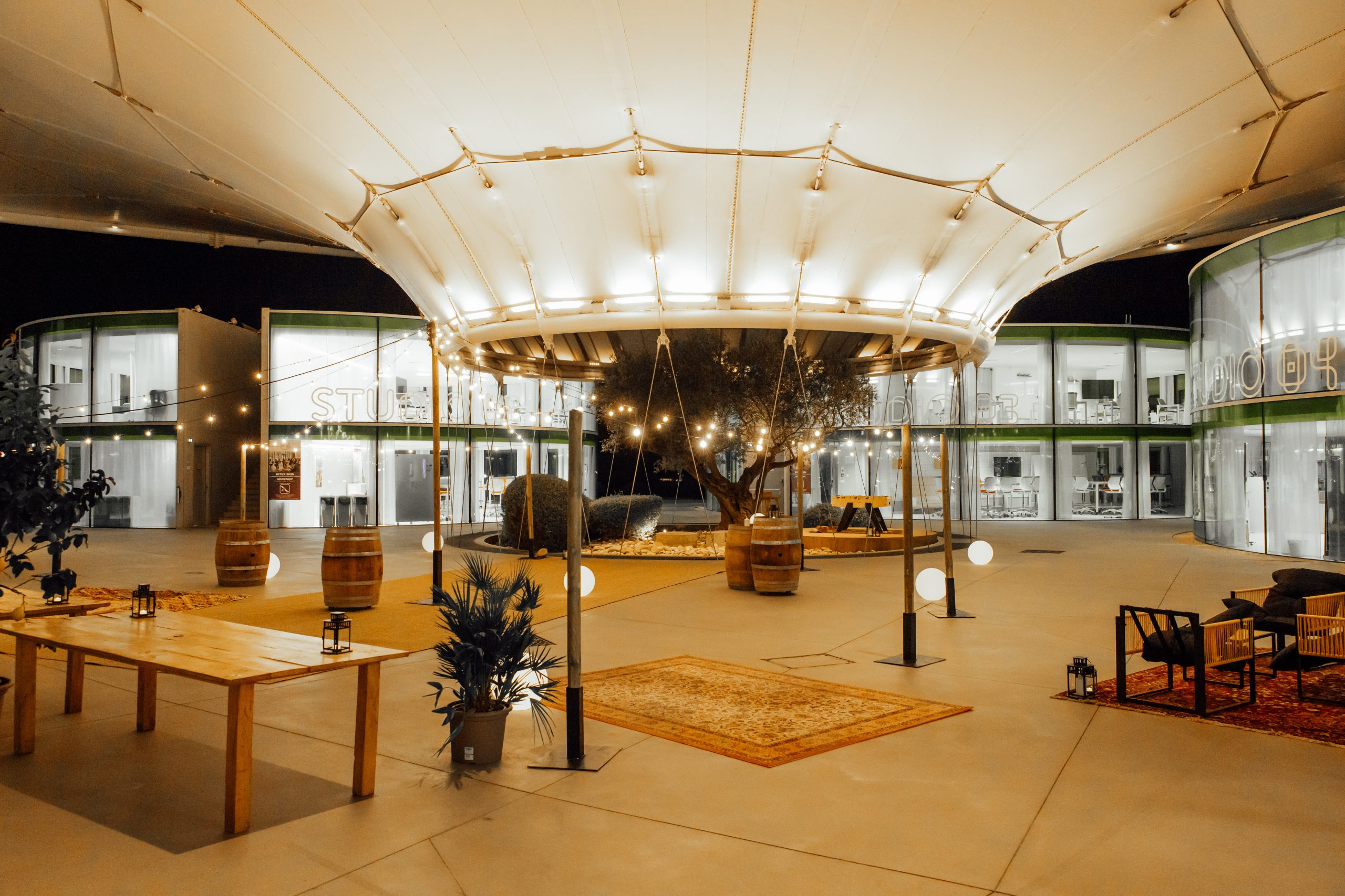 DITEX 2026 — Captation 208